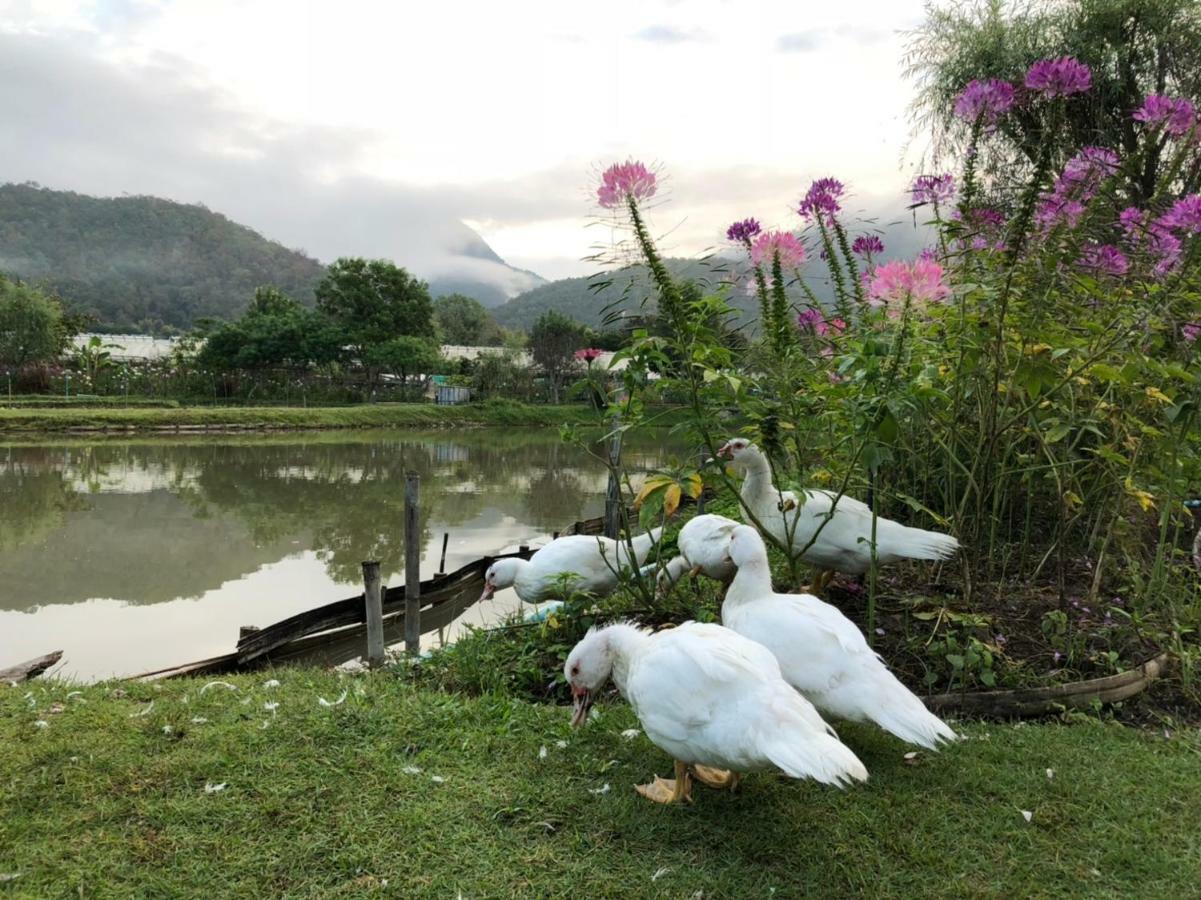Luxury Farm House Pai Buitenkant foto